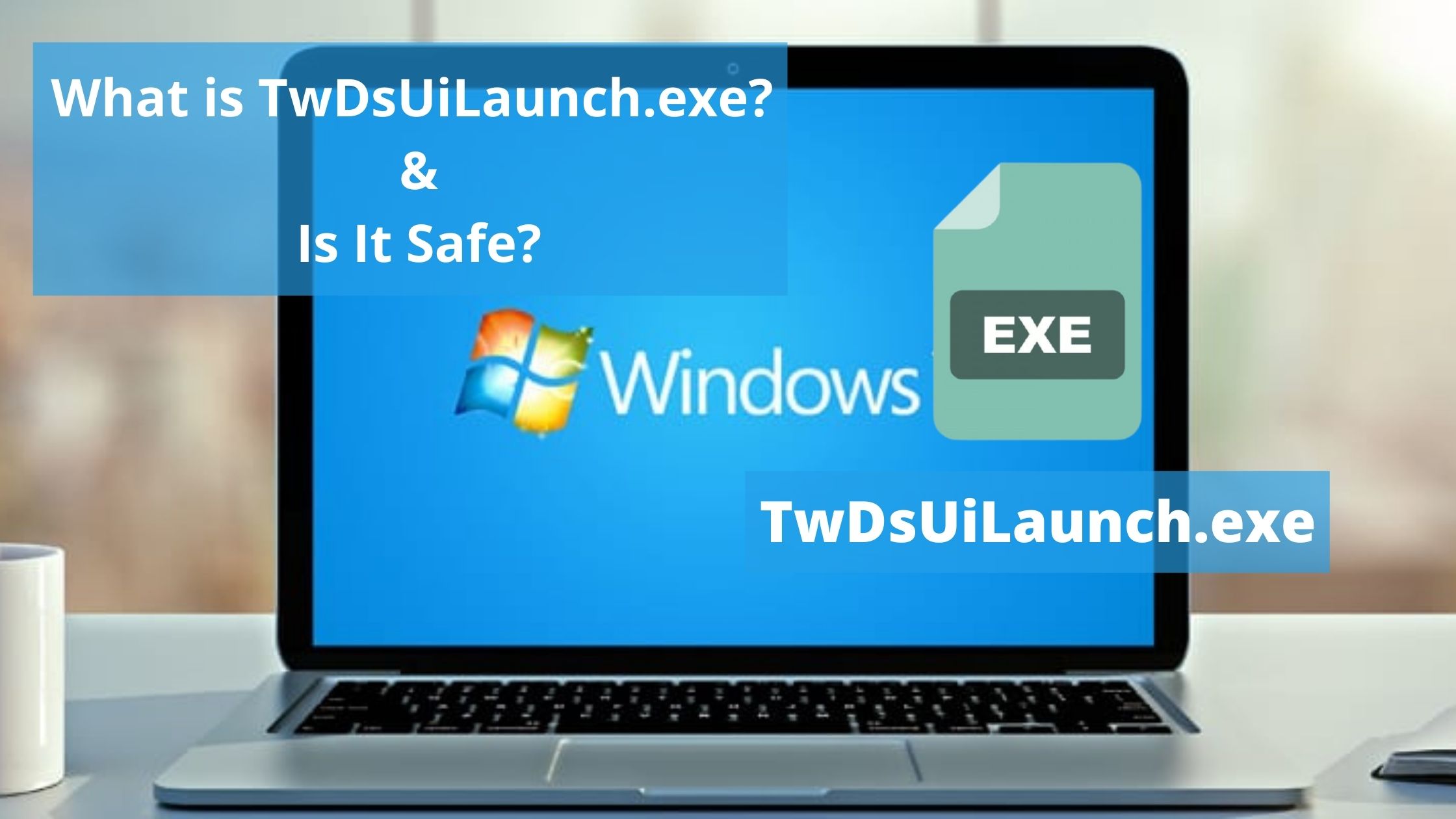 TwDsUiLaunch.exe